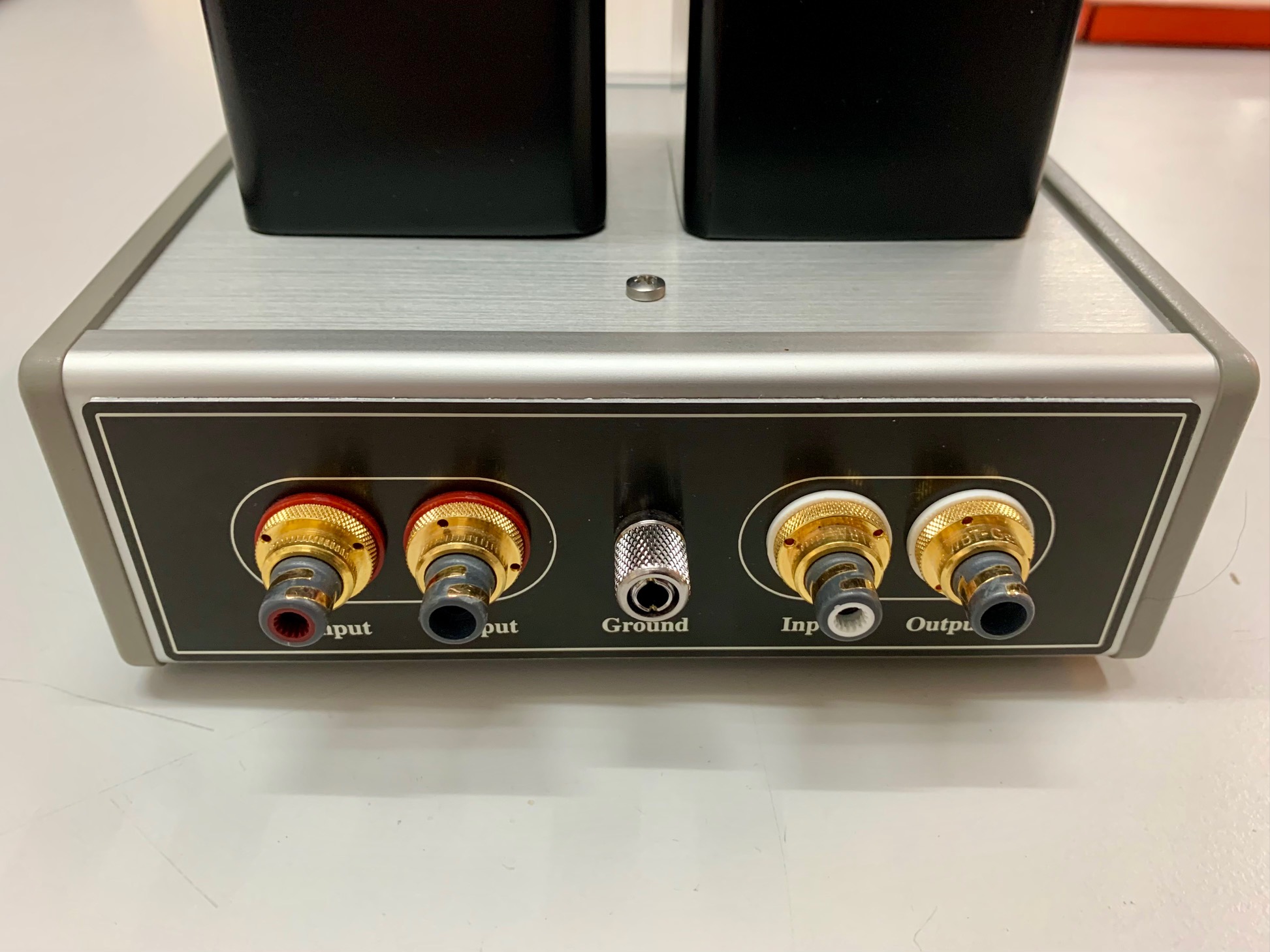 Hashimoto Live MC10 4